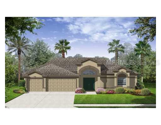 9673 Orange Jasmine Way, Tampa, FL 33647