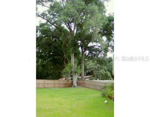 2226 E 10th Ave., Tampa, FL 33605