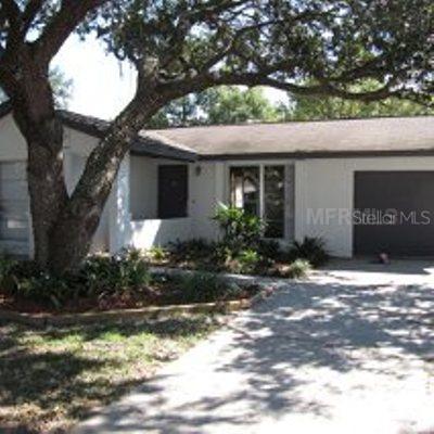 10106 Pine Trails Ct., Tampa, FL 33615