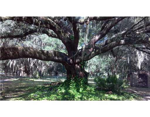 2901 Bruton Rd., Plant City, FL 33565