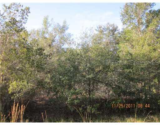 1816 Wagonwheel Rd., Wimauma, FL 33598