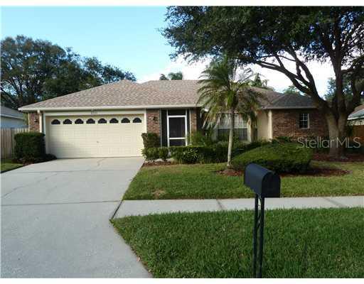 6511 Appaloosa Dr., Tampa, FL 33625