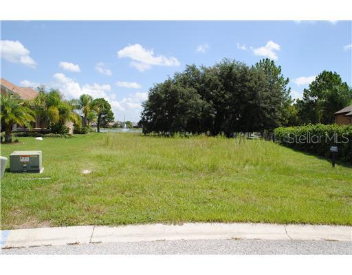15537 Dunns Pond Ct., Odessa, FL 33556