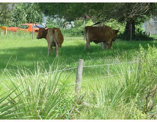 Edison Rd., Lithia, FL 33547