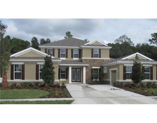 3258 Watermark Dr., Wesley Chapel, FL 33544