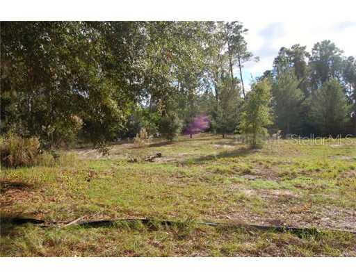 Bee Pond Rd., Palm Harbor, FL 34683