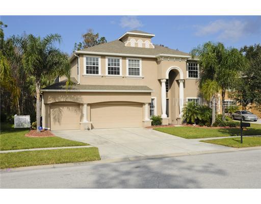 3515 Loggerhead Way, Wesley Chapel, FL 33544