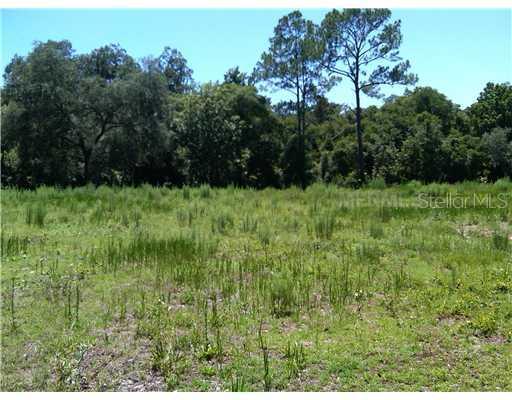 West Sumter, Lake Panasoffkee, FL 33538
