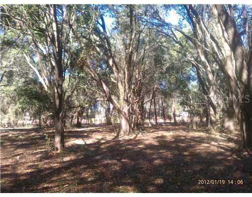 910 Victoria St., Brandon, FL 33510