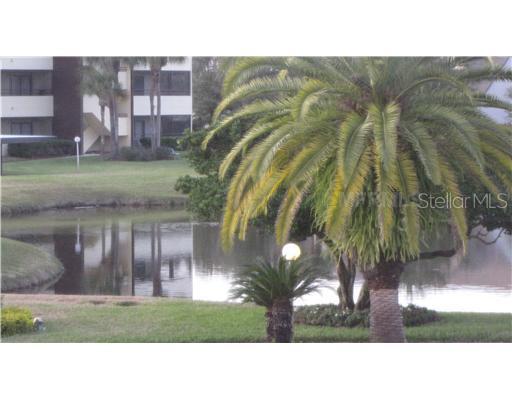 13602 S Village Dr. #1214, Tampa, FL 33618
