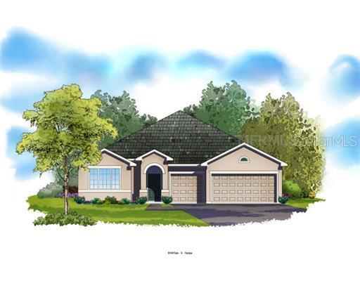 31539 Holcomb Pass, Wesley Chapel, FL 33543