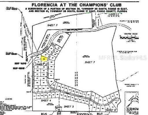 9720 Milano Dr., Trinity, FL 34655
