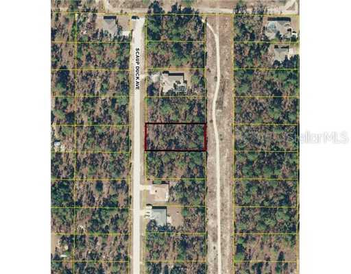 16454 Scaup Duck Ave., Brooksville, FL 34614