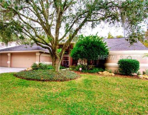 15916 Dawson Ridge Dr., Tampa, FL 33647