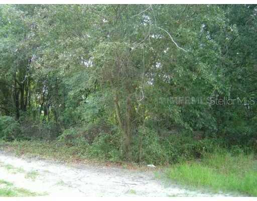 10525 Sunset Path Dr., Riverview, FL 33578