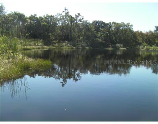 8841 S Mobley Rd., Tampa, FL 33626