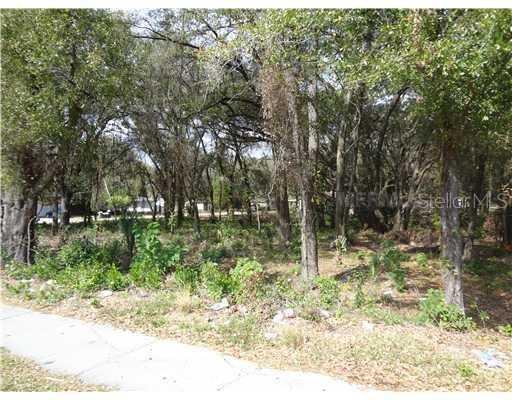 6903 N 53rd St., Tampa, FL 33617