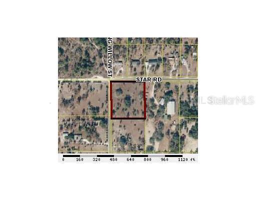 Weeping Willow, Brooksville, FL 34613
