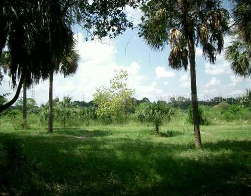 8931 Key West Island Way, Riverview, FL 33578