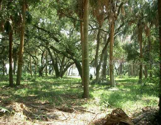 8932 Key West Island Way, Riverview, FL 33578