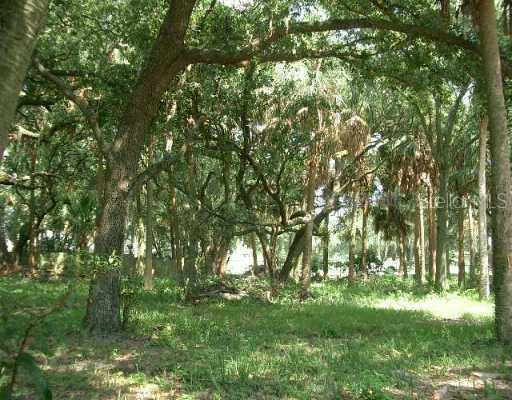 8919 Key West Island Way, Riverview, FL 33578