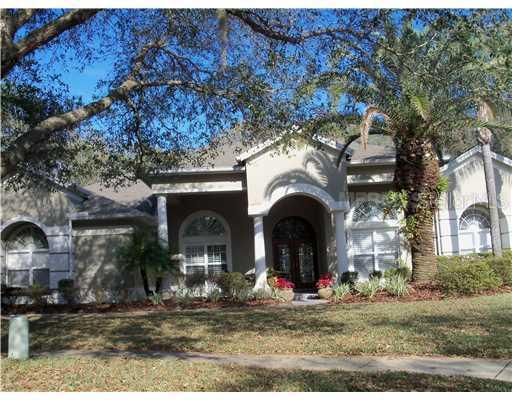 15801 Dawson Ridge Dr., Tampa, FL 33647