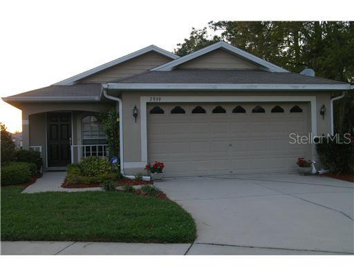 7959 Endless Summer Ct., Land O Lakes, FL 34637