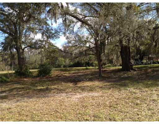 19803 Sea Rider Way, Lutz, FL 33559