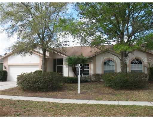 1317 Monte Lake Dr., Valrico, FL 33596