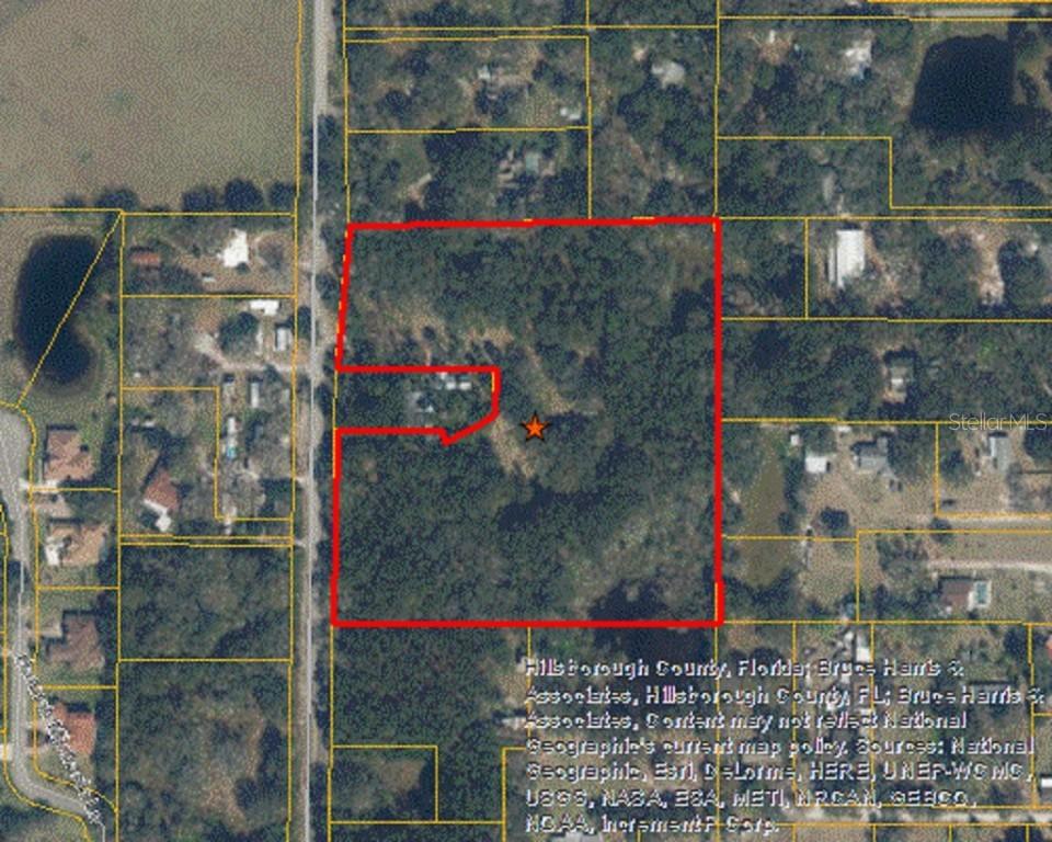Livingston Avenue, Lutz, FL 33559