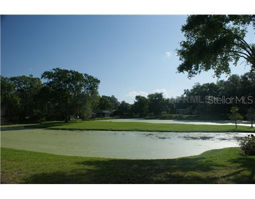 1609 Sunnyhills Dr., Brandon, FL 33510