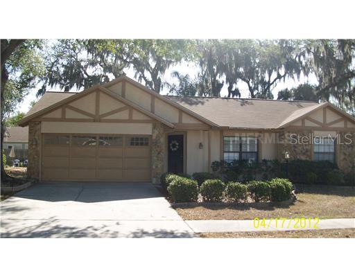 534 Rapid Falls Dr., Brandon, FL 33511