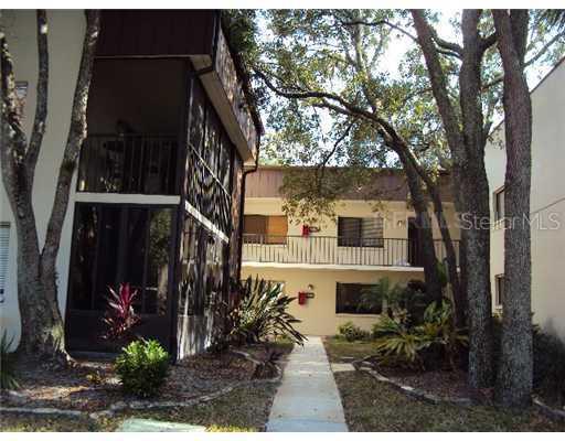 11807 Raintree Lake Ln., Tampa, FL 33617
