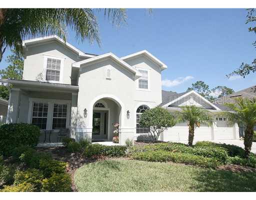 16173 Colchester Palms Dr., Tampa, FL 33647