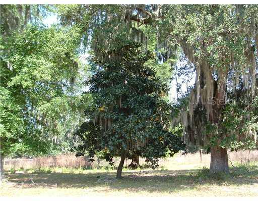 2105 Knights Griffin Rd., Plant City, FL 33565