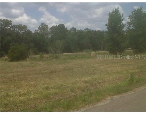 19148 Redbird Ln., Lithia, FL 33547