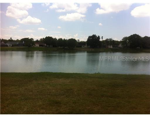 1721 Brandon Trace Ave., Brandon, FL 33510