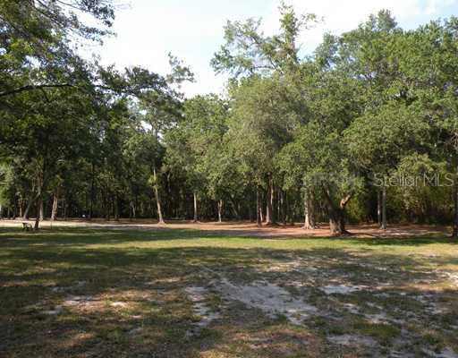 Wallace Rd., Lutz, FL 33559