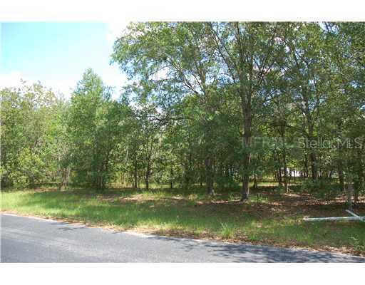 19605 Woodland Manor Pl., Lutz, FL 33549