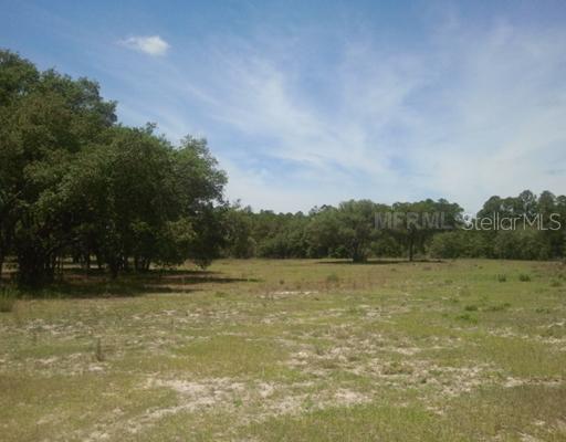 Hurricane Dr., Weeki Wachee, FL 34614