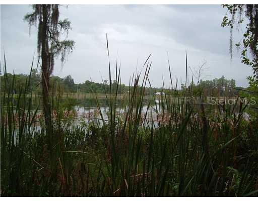 Mobley Rd., Odessa, FL 33556