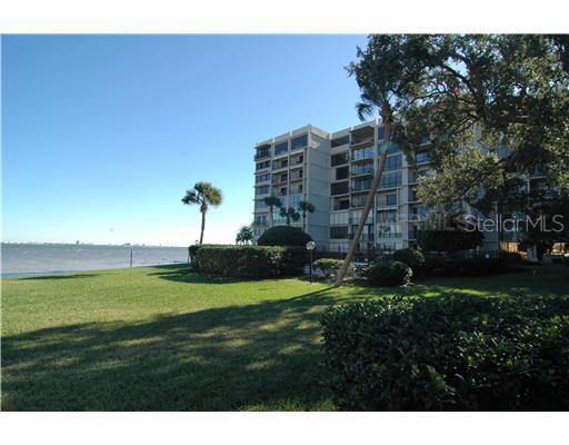 5020 Bayshore Blvd. #203, Tampa, FL 33611