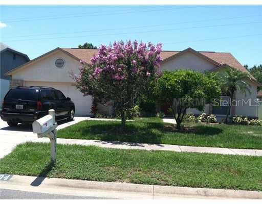 6404 Appaloosa Dr., Tampa, FL 33625