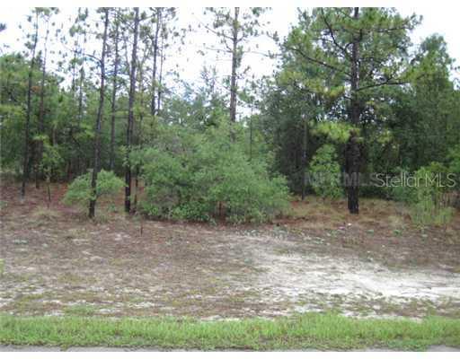 11347 Newington Ave., Spring Hill, FL 34609