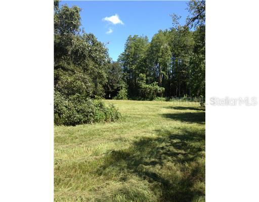 17120 Bevill Rd., Odessa, FL 33556