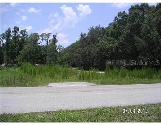 6657 Angus Valley Dr., Wesley Chapel, FL 33544