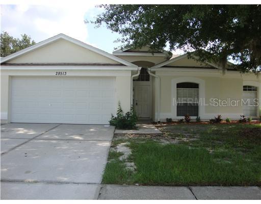 28513 Tall Grass Dr., Wesley Chapel, FL 33543