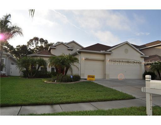 3612 Morgans Bluff Ct., Land O Lakes, FL 34639