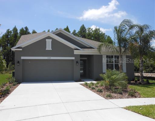 5291 Shasta Daisy Pl., Land O Lakes, FL 34639