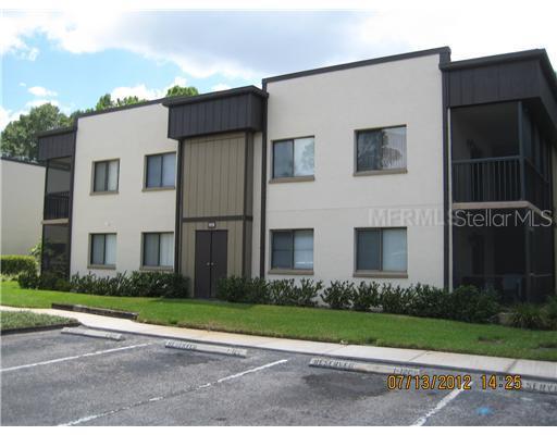 11712 Raintree Lake, Tampa, FL 33617